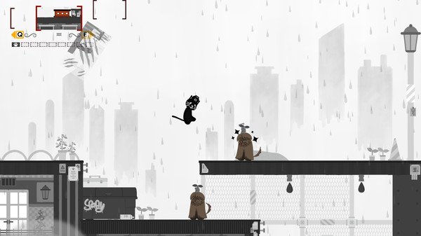 头顶相机的猫_3