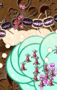 劲爆射击 Shoot 1UP DX