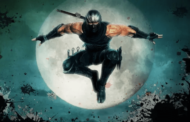 忍者龙剑传:大师收藏版_2