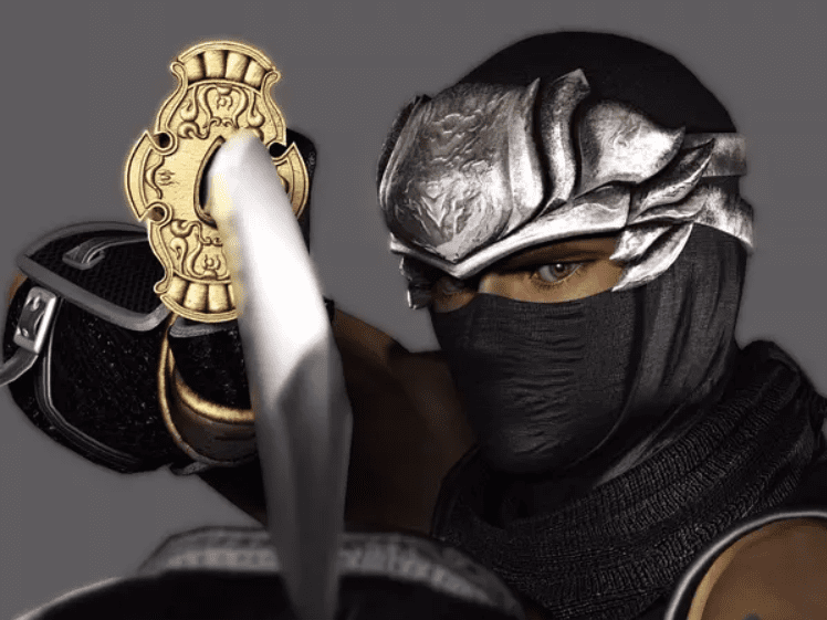 忍者龙剑传:大师收藏版_1