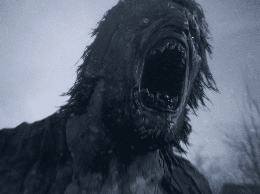 生化危机8 村庄_1