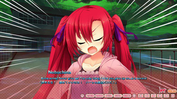 野良与皇女与流浪猫之心HD The Princess, the Stray Cat, and Matters of the Heart