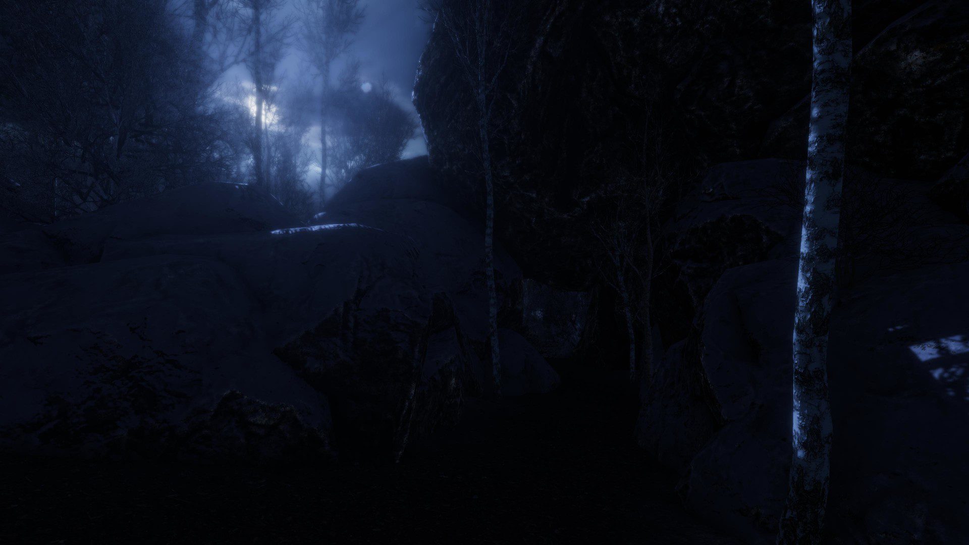 遗忘之地 The Forgotten