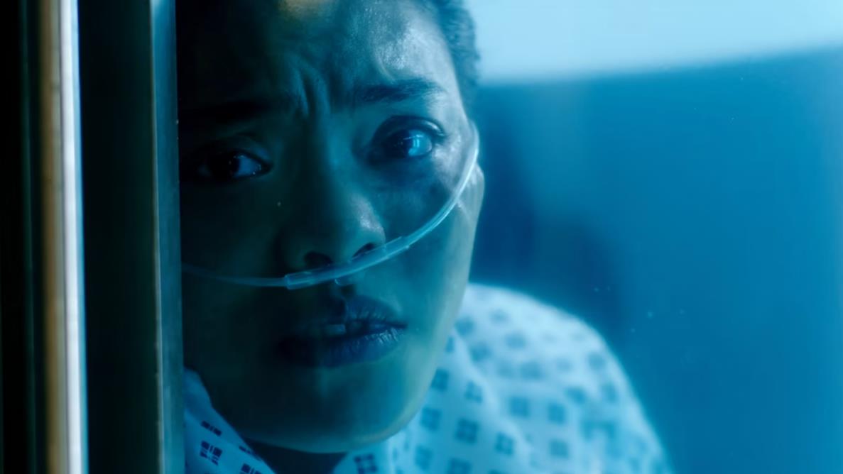 复体 The Complex_4