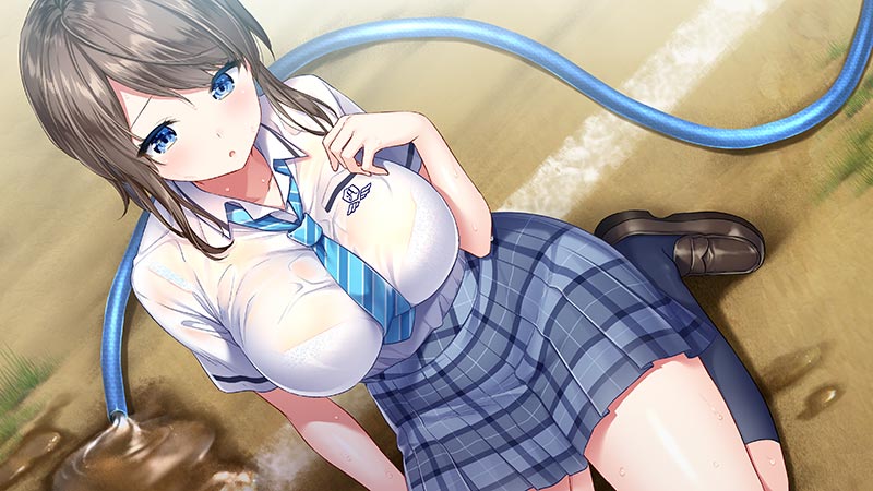 Amamane アママネ