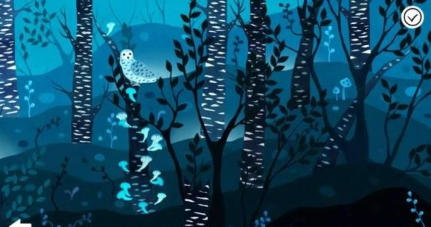 树叶之下 Little Mouse's Encyclopedia + Under Leaves_3