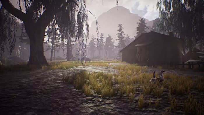 细雨小径 Drizzlepath: Deja Vu