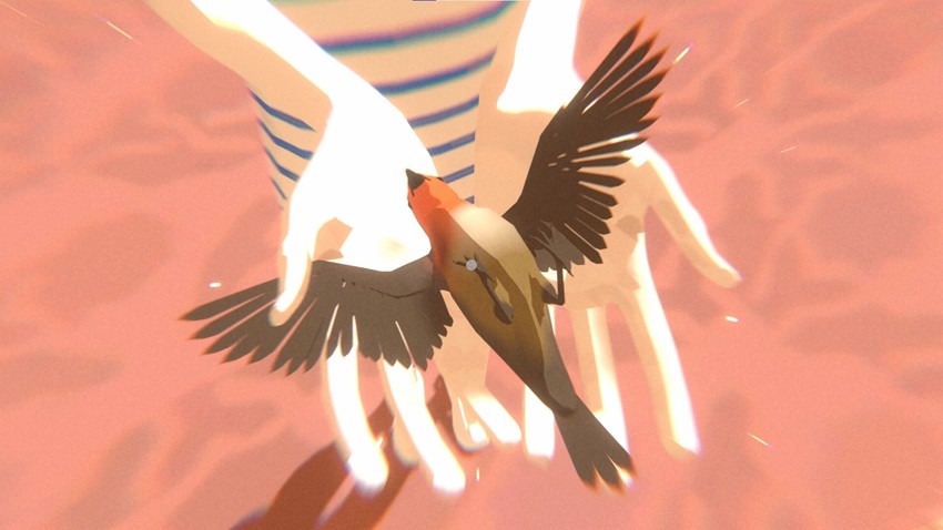 浮生千百事 The Wreck_1