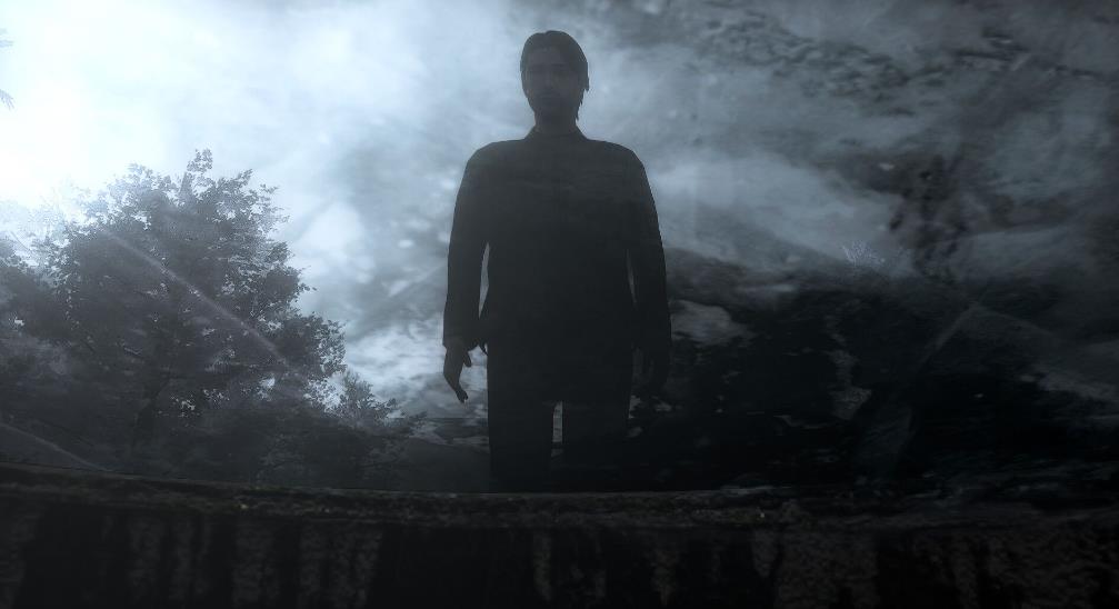 冰雪花园(The Frozen Garden)_2