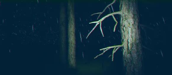 信号（Thesignal）_2