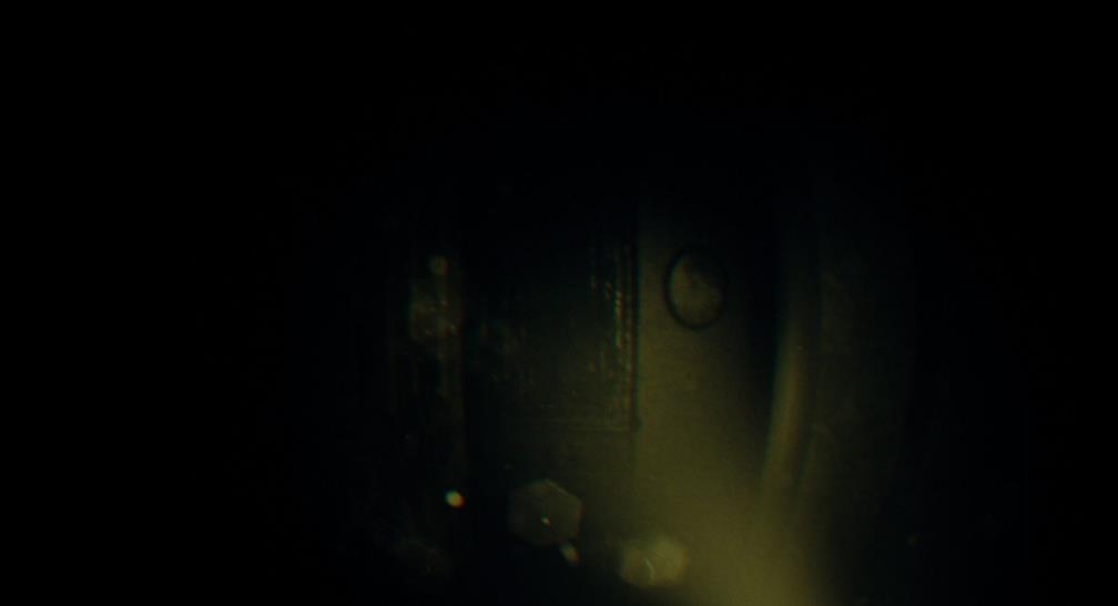 REC：镜头之外（REC: Beyond The Lens）