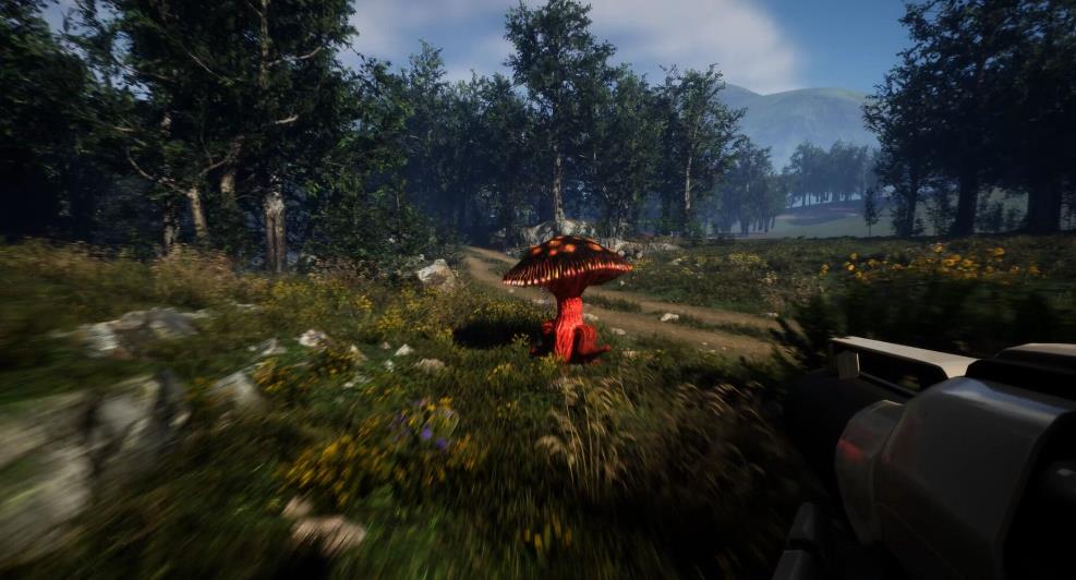 森林狂潮（Forest Frenzy）