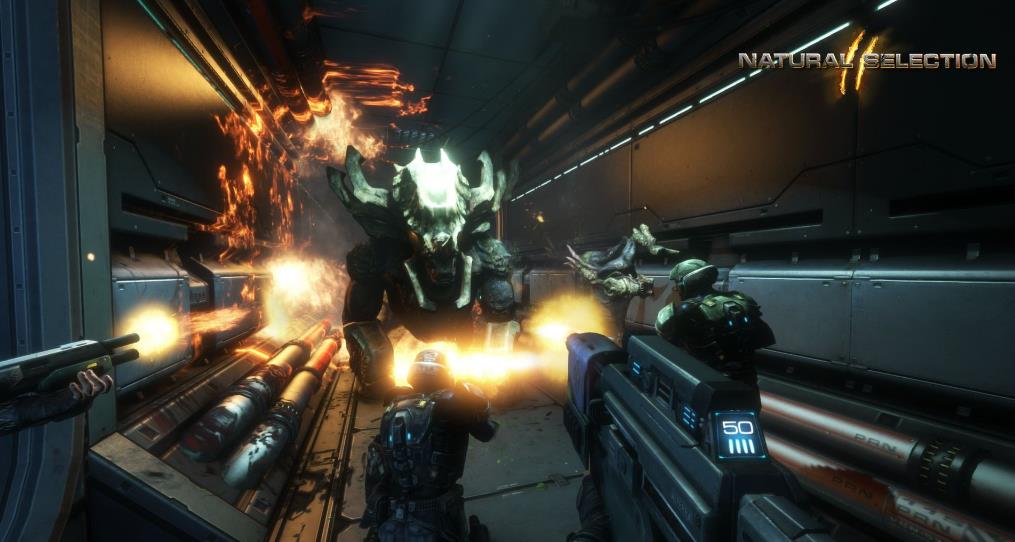 物竞天择2（Natural Selection 2）