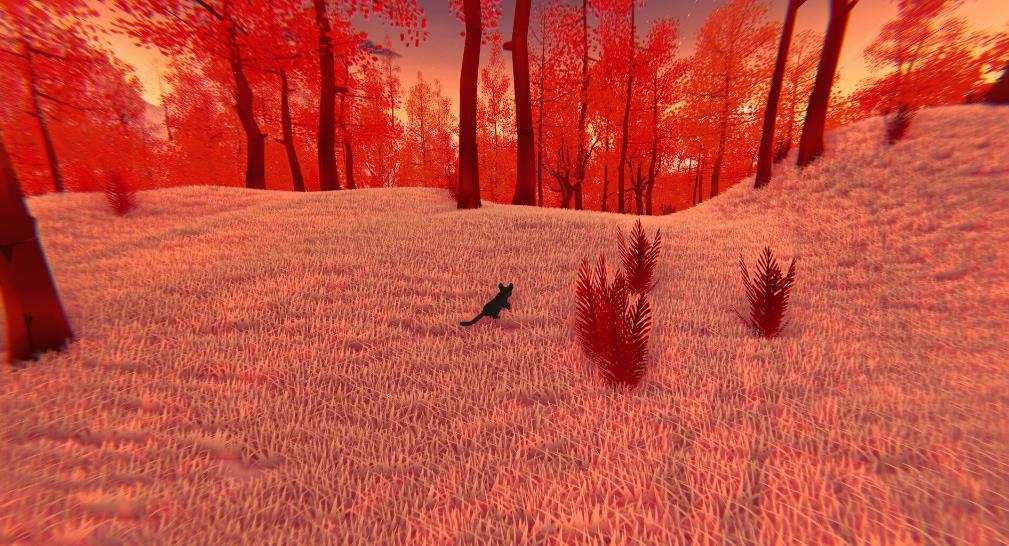 迷失的音符（A Lost Note）