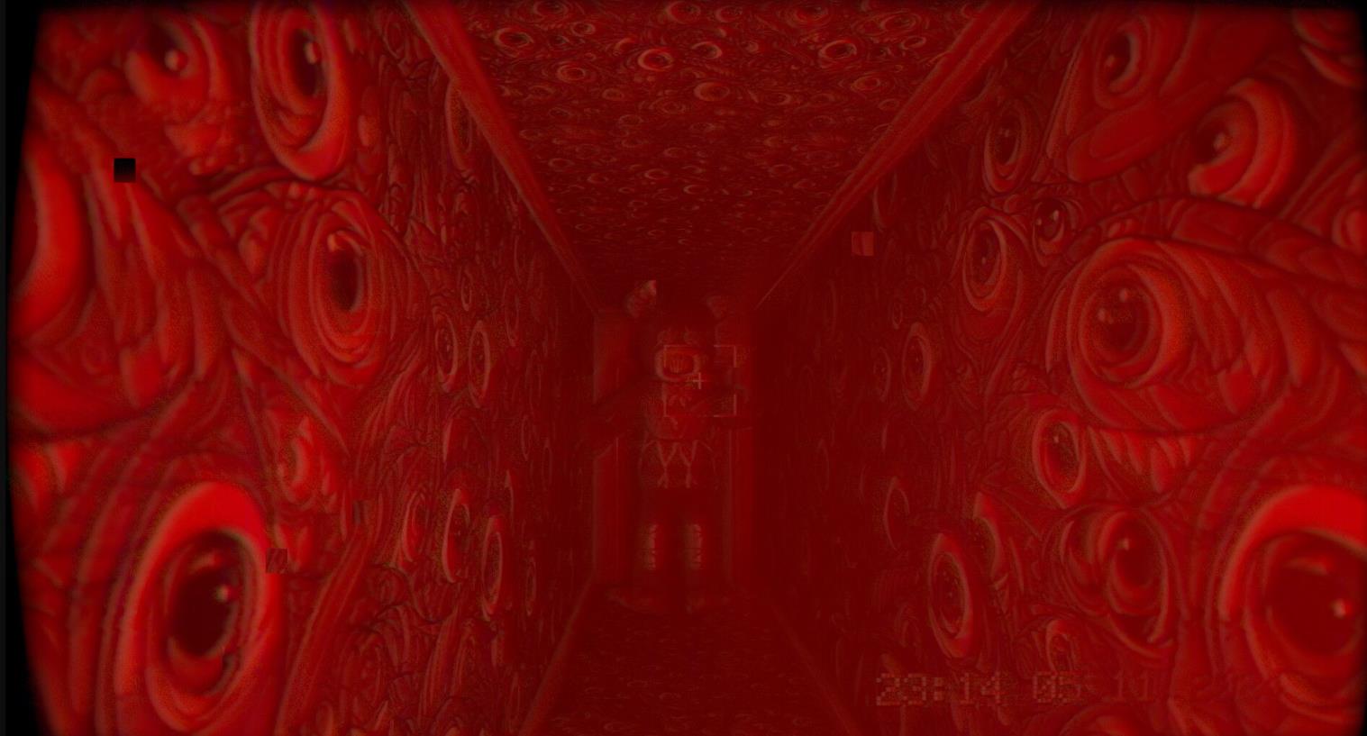 在录像中（In the footage）_1