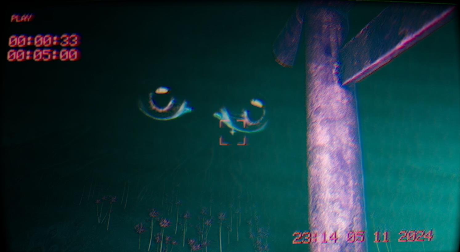 在录像中（In the footage）