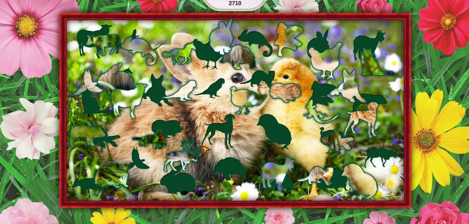 我可爱的宠物2（My Lovely Pets 2）_1