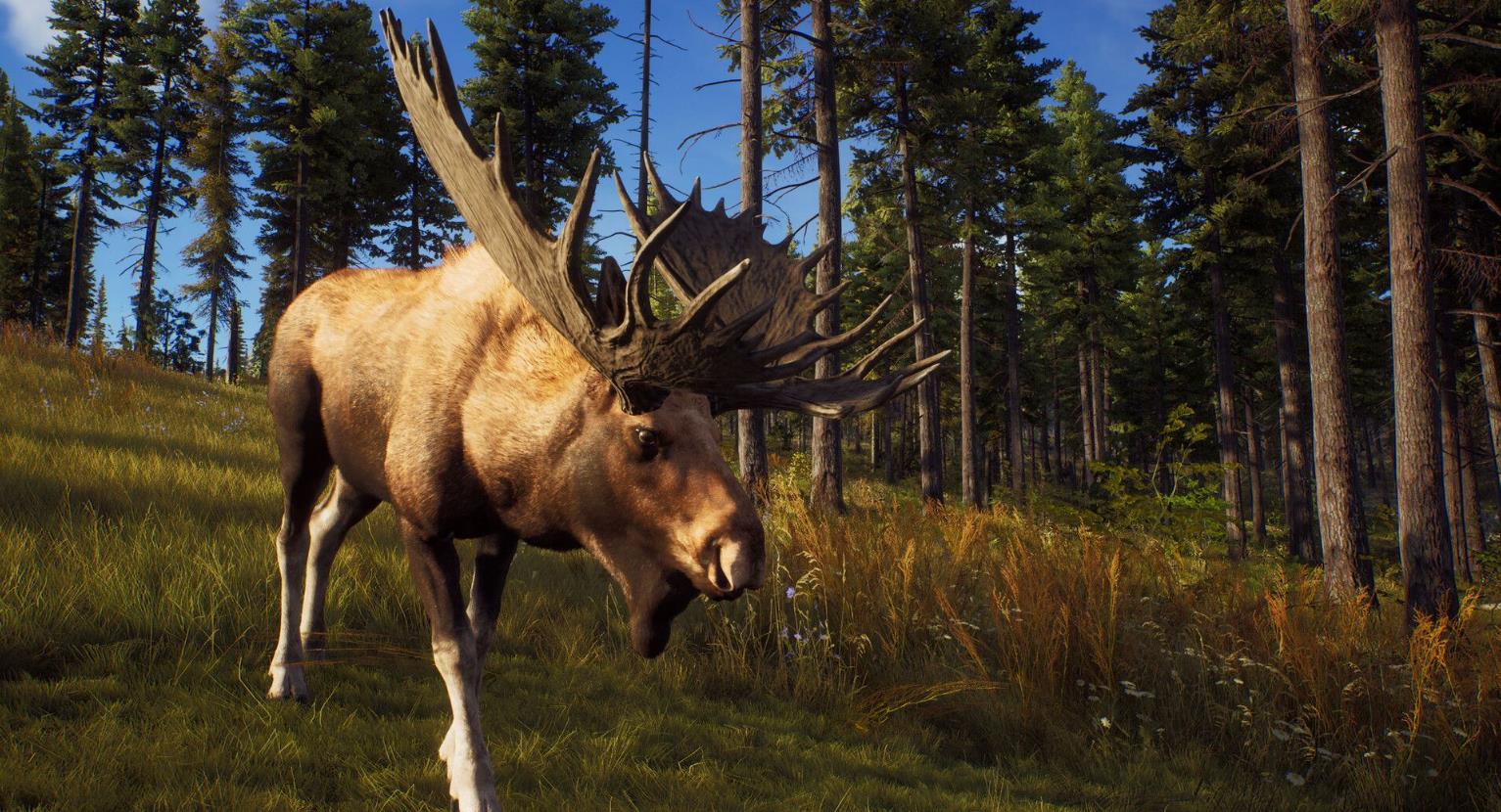 狩猎之道（Way of the Hunter）