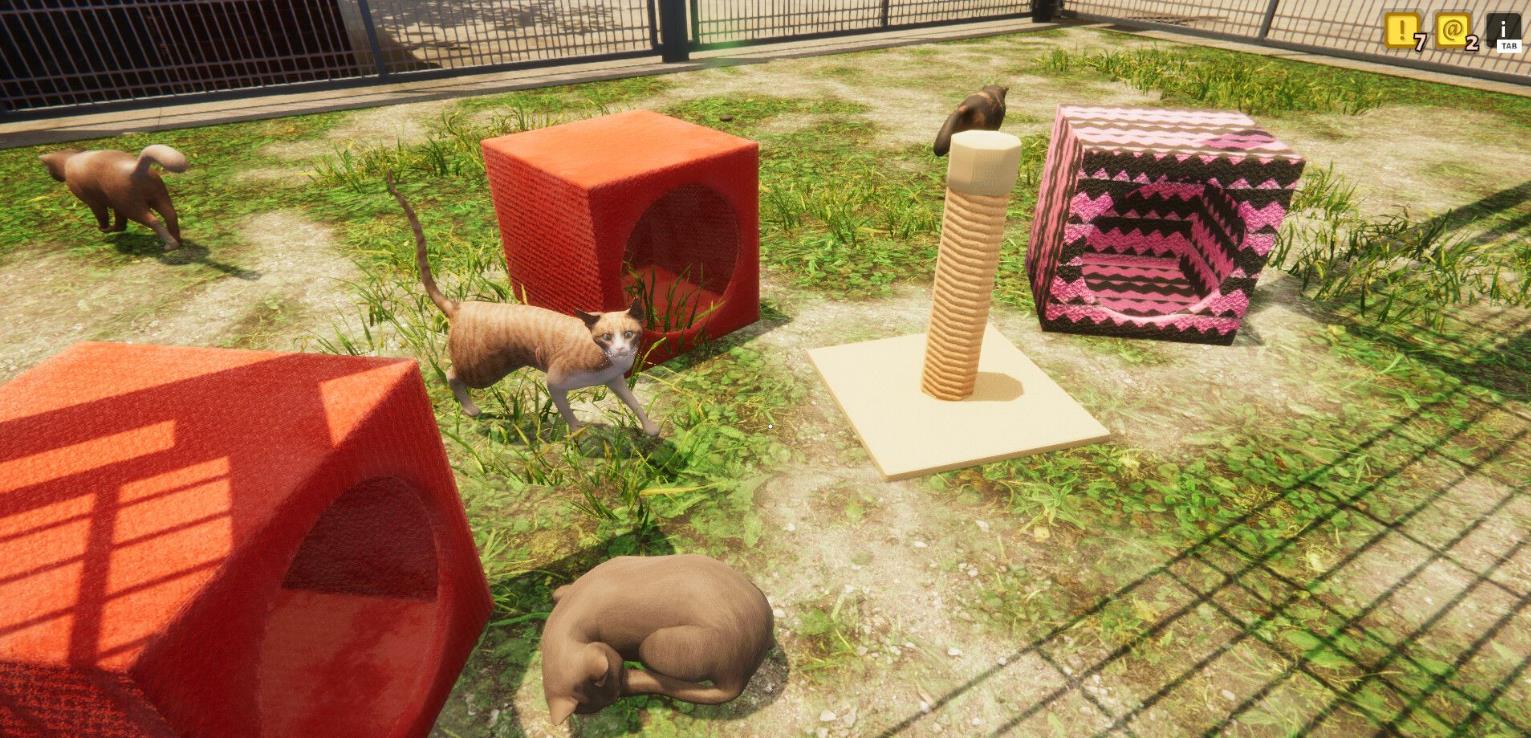 动物收容所（Animal Shelter）_1