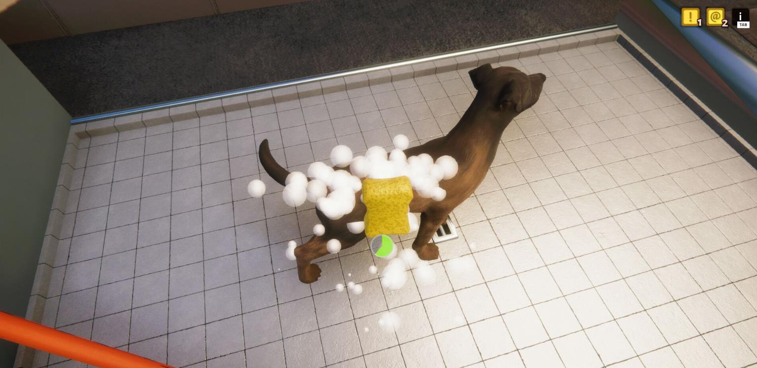 动物收容所（Animal Shelter）