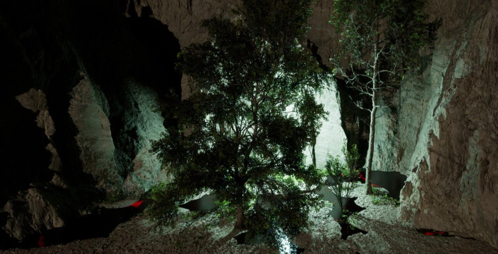 回声之梦（Dream of Echo）