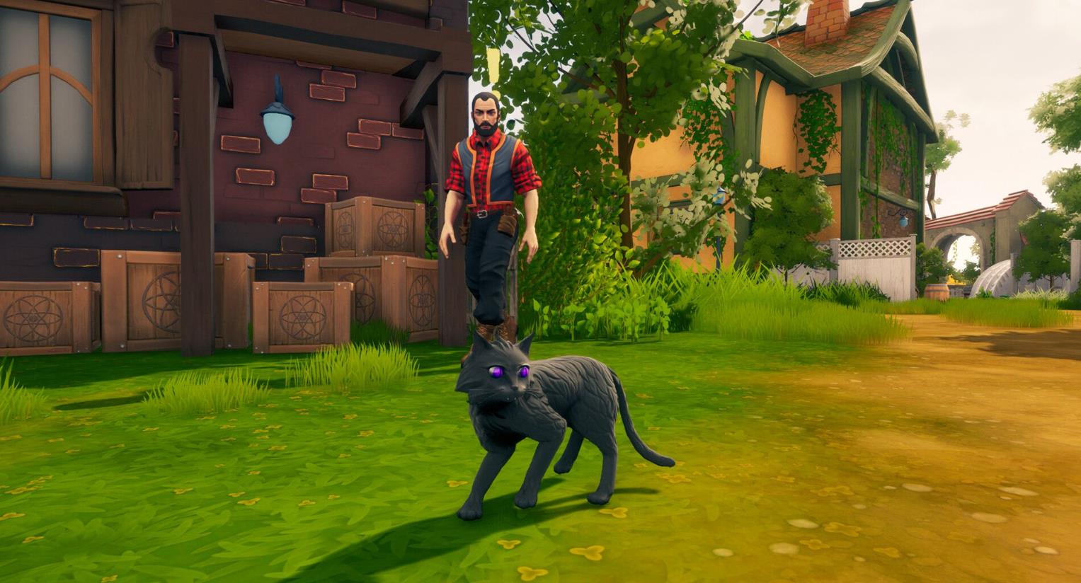 弗恩岛上的女巫（The Witch of Fern Island）_1