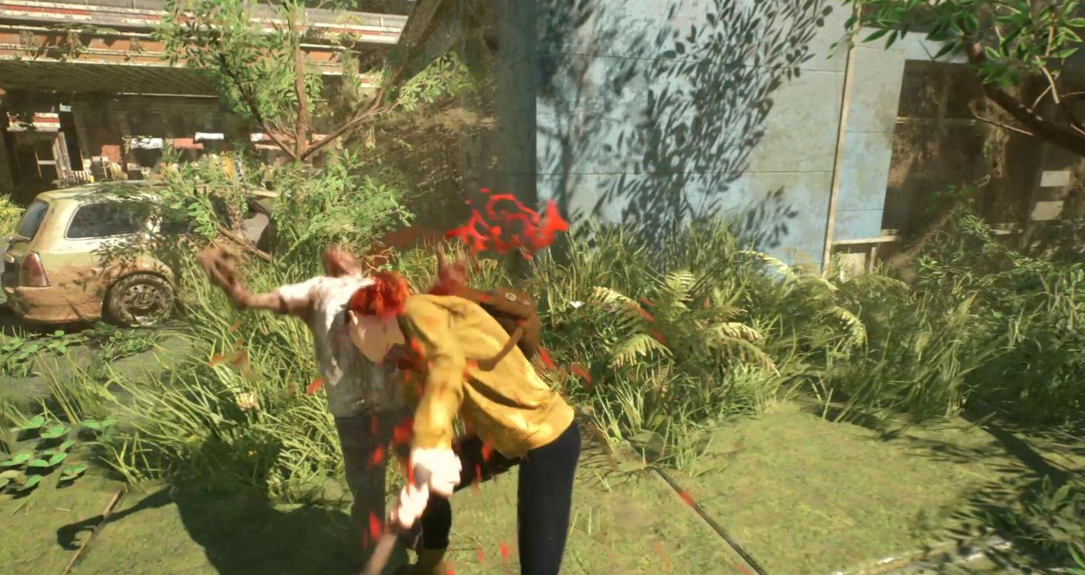 最后的流浪者（The Last Vagabonds）_1