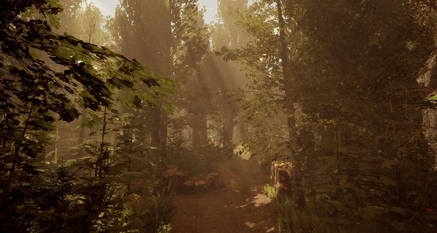 编号217721（Number 217721）