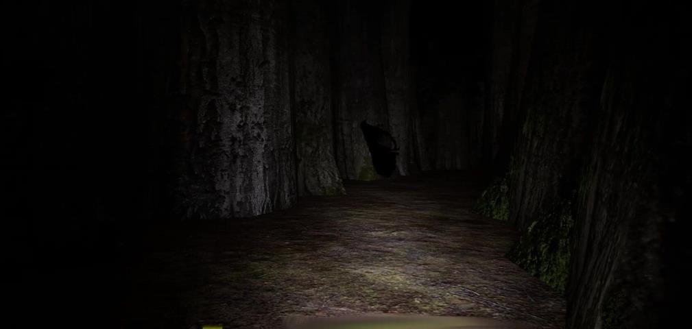 迷宫:迷失在黎明前(Labyrinthian: Lost 'Til Dawn)_1