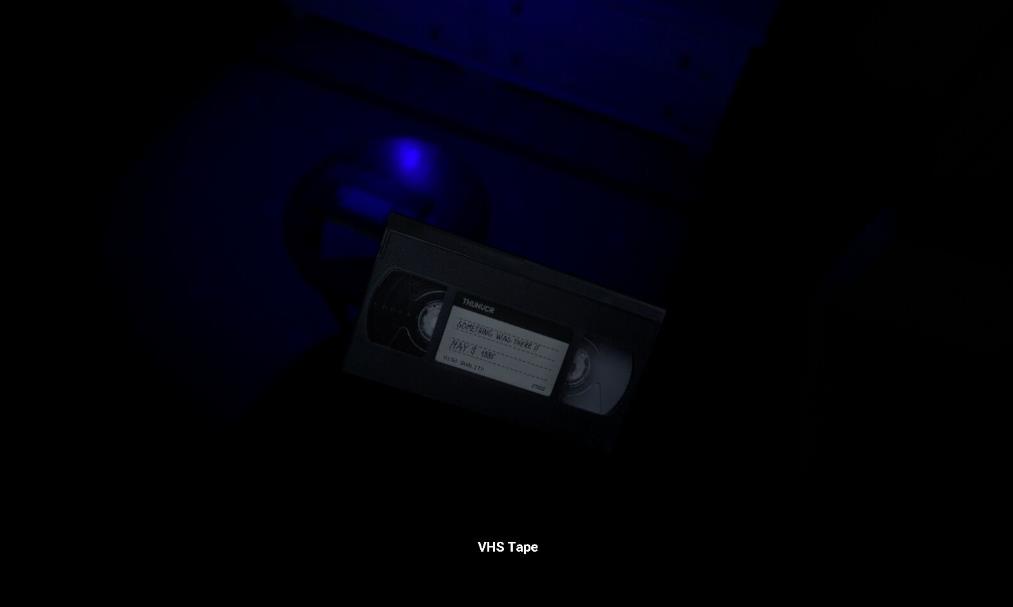 家庭保姆（House Sitter）