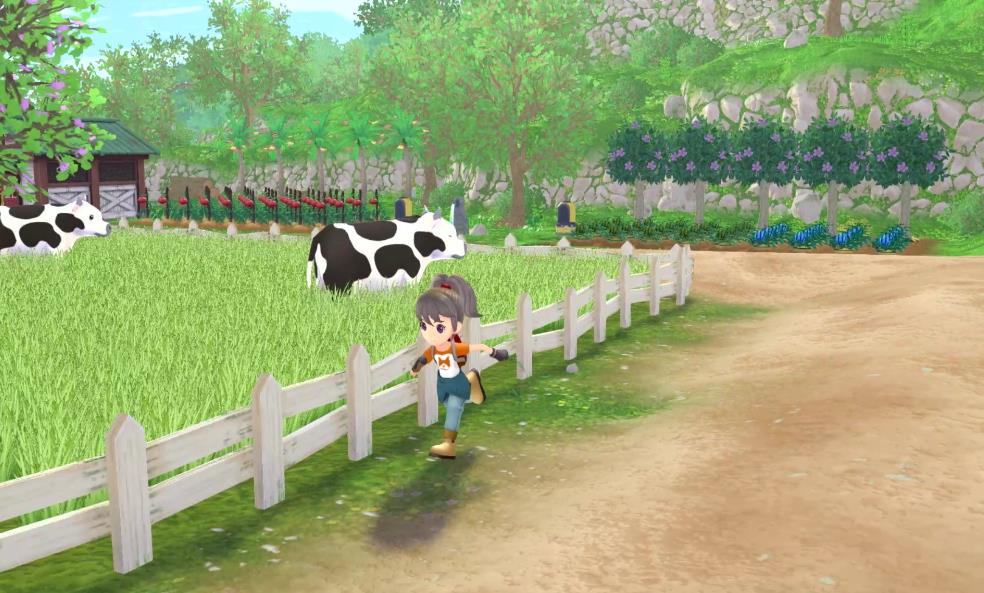 牧场物语 Welcome！美丽人生 Harvest Moon Welcome A Wonderful Life