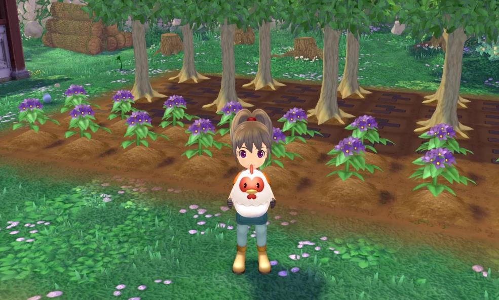 牧场物语 Welcome!美丽人生 Harvest Moon Welcome A Wonderful Life_1