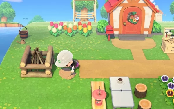 switch《动物森友会》v2.0.6金手指下载