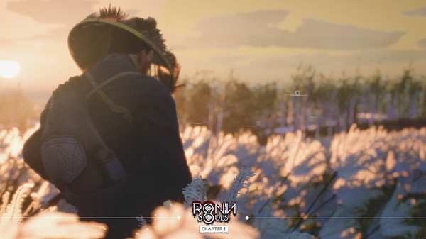 浪人 双魂 第一章_2