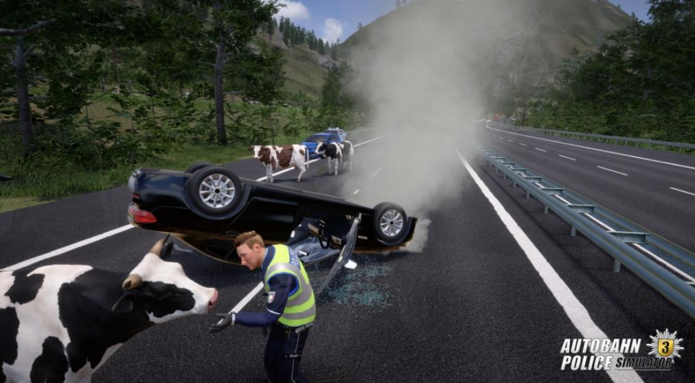 高速公路交警模拟3 Autobahn Police Simulator 3_2