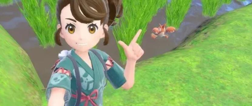 宝可梦 朱 紫&零之秘宝前篇 碧之假面_2