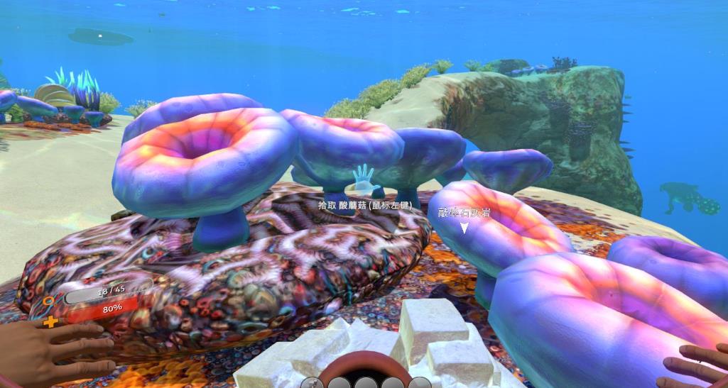 switch《美丽水世界/深海迷航 Subnautica》中文版v327680金手指下载