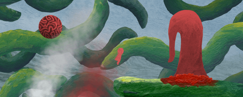 大师之眼 The Master’s Pupil