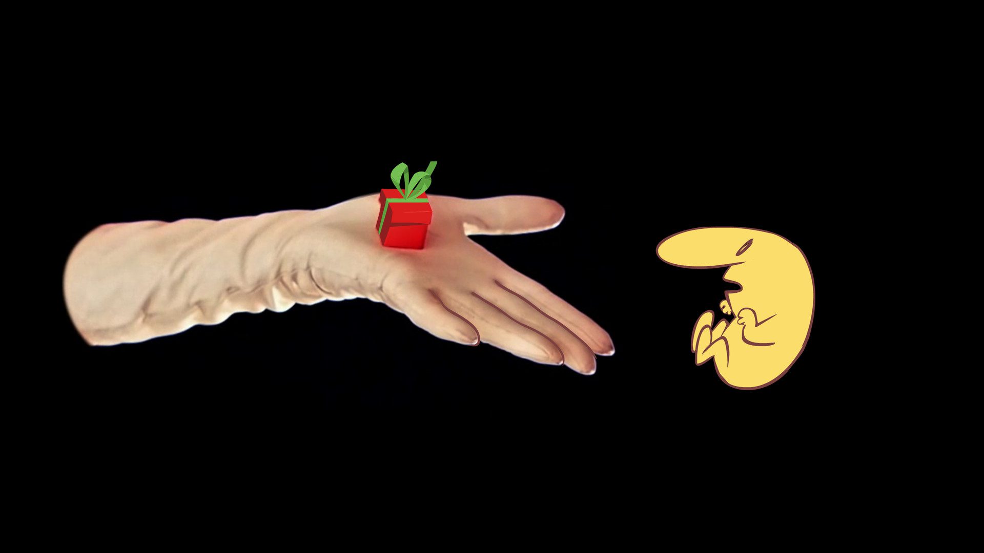 裂开了！裤先生 The Many Pieces of Mr. Coo