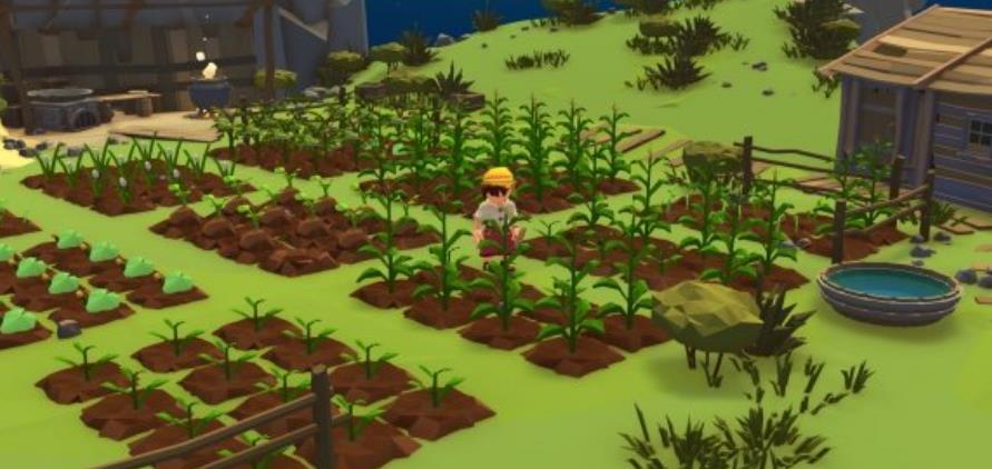 落难航船:诅咒之岛的探险者.Stranded Sails – Explorers