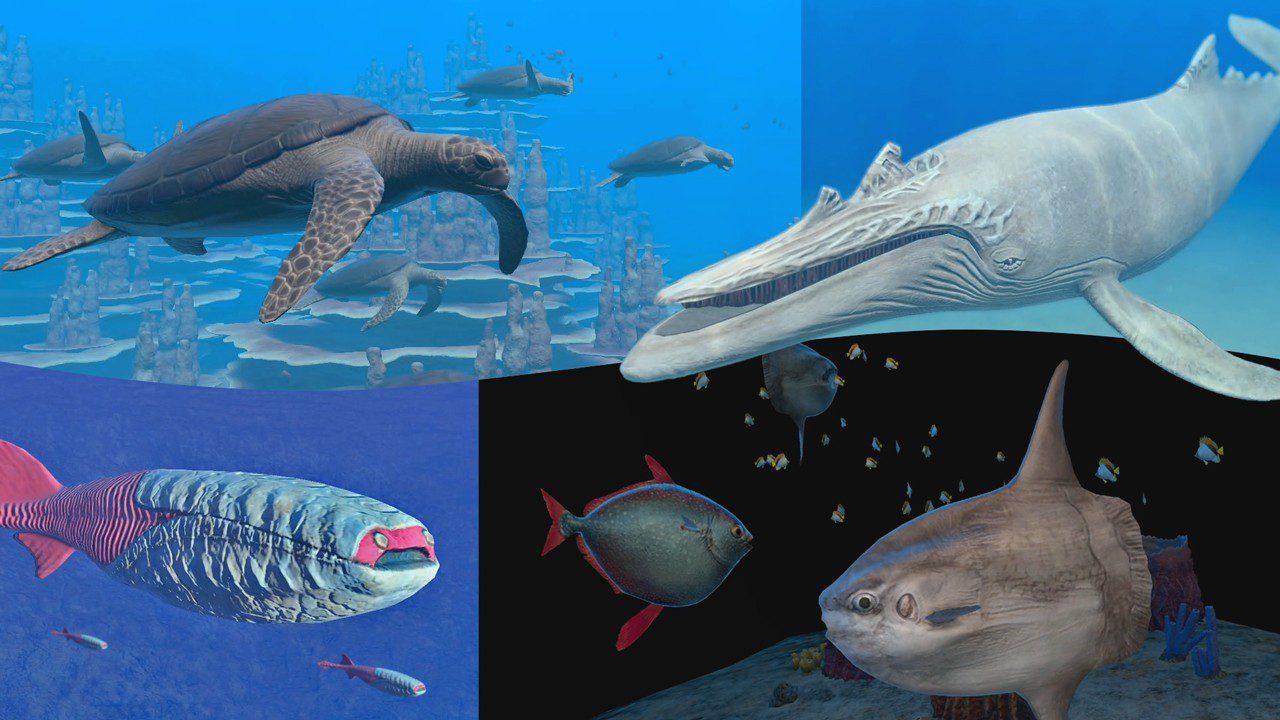 永恒蔚蓝：流光/Endless Ocean Luminous_1