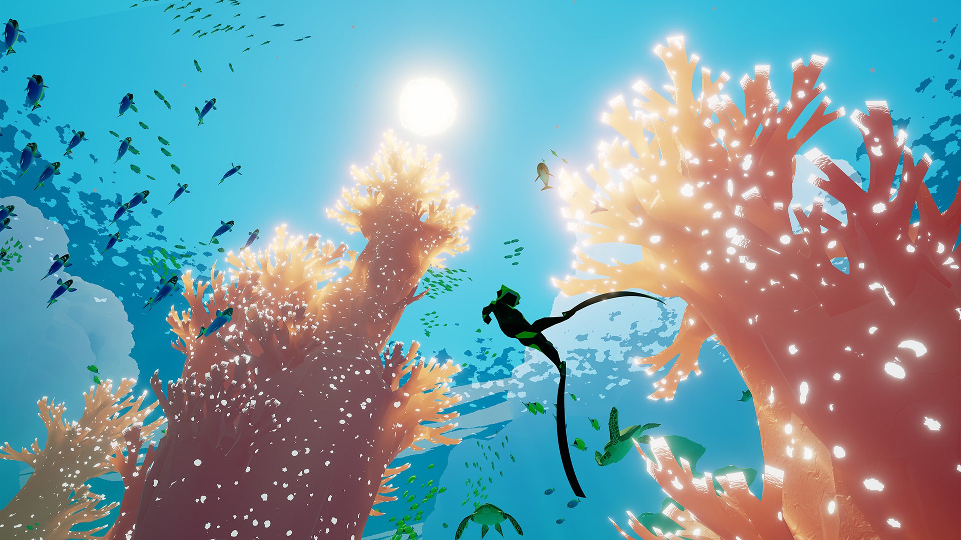 智慧之海 ABZU_1