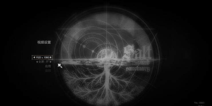 盐和避难所.Salt and Sanctuary