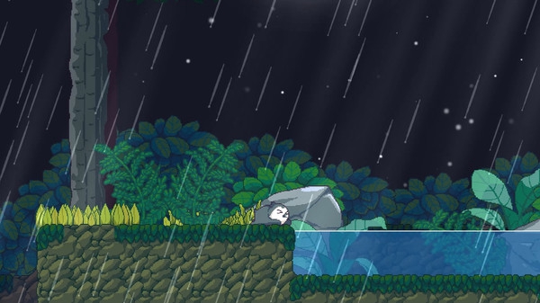 鸟之交响.Songbird Symphony