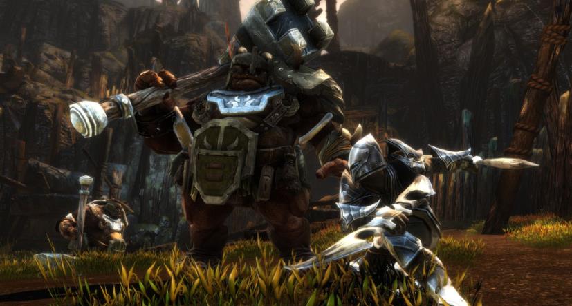 阿玛拉王国:惩罚.Kingdoms of Amalur: Re-Reckoning_1