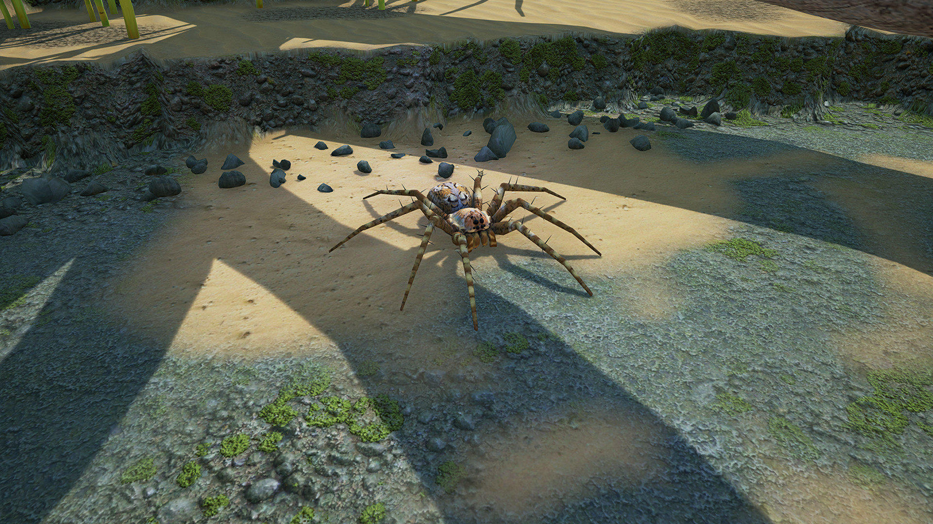 地下蚁国 Empires of the Undergrowth