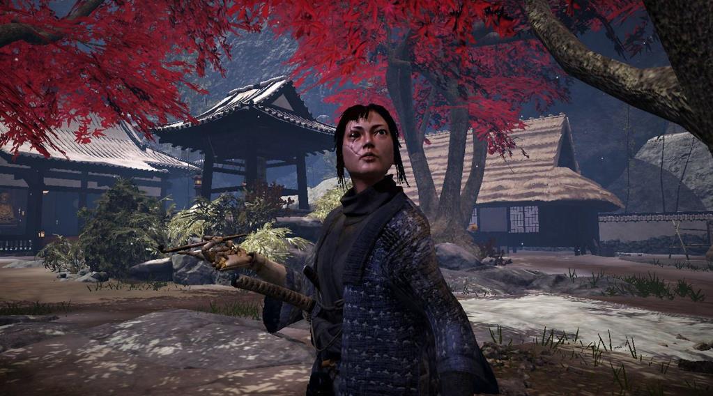 岚：罪恶之城.Arashi：Castles of Sin_1