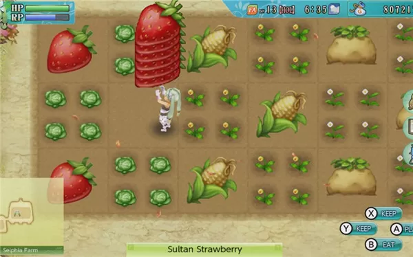 switch《符文工房4 特别版》v1.0.2金手指下载