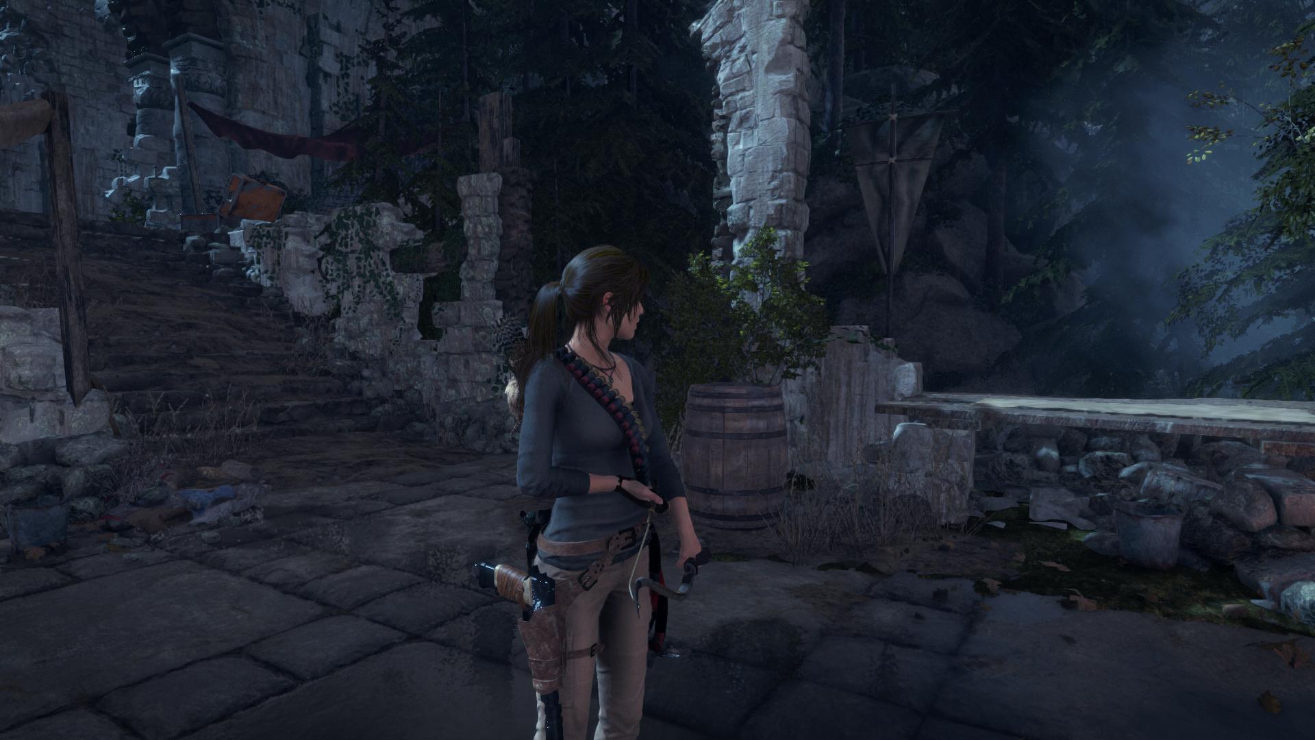 古墓丽影:崛起.20 周年纪念版.Rise of the Tomb Raider: 20 Year Celebration_1