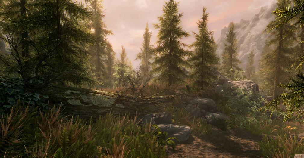 上古卷轴5：天际 – 十周年纪念版.The Elder Scrolls V: Skyrim Anniversary Edition